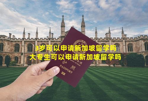 3岁可以申请新加坡留学吗 大专生可以申请新加坡留学吗